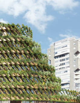 antonini architecte & associés