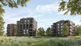 antonini architecte & associés