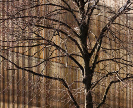 antonini architecte & associés