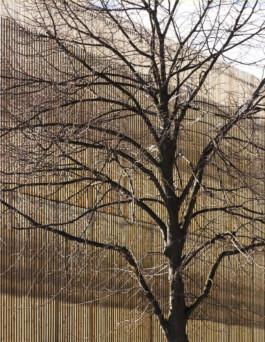 antonini architecte & associés